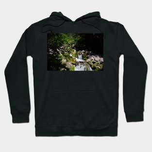 850_4572 Hoodie